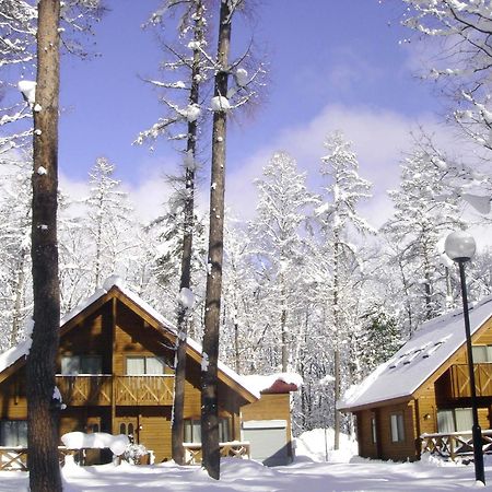 Log Cottage Epoch Hakuba Ngoại thất bức ảnh