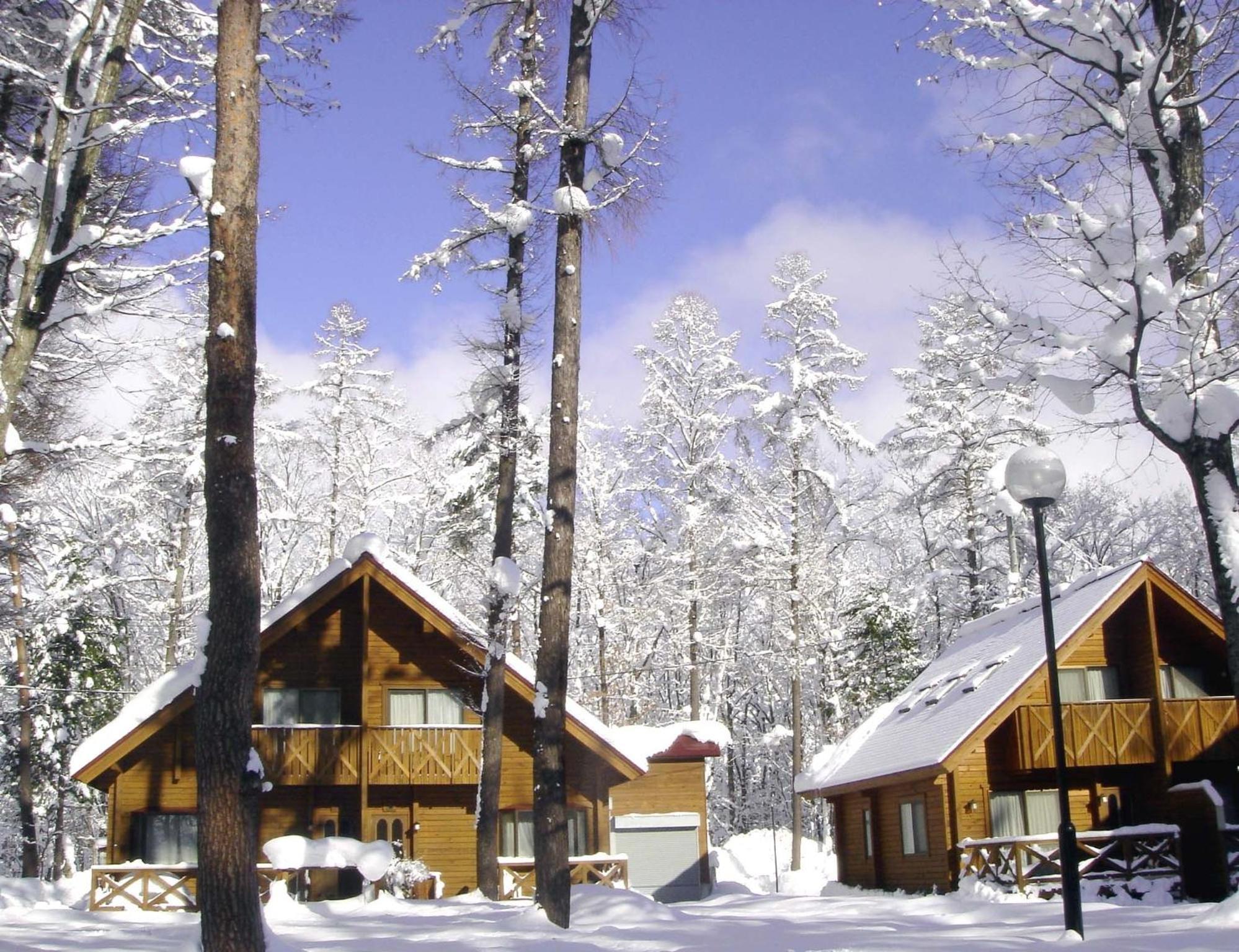 Log Cottage Epoch Hakuba Ngoại thất bức ảnh
